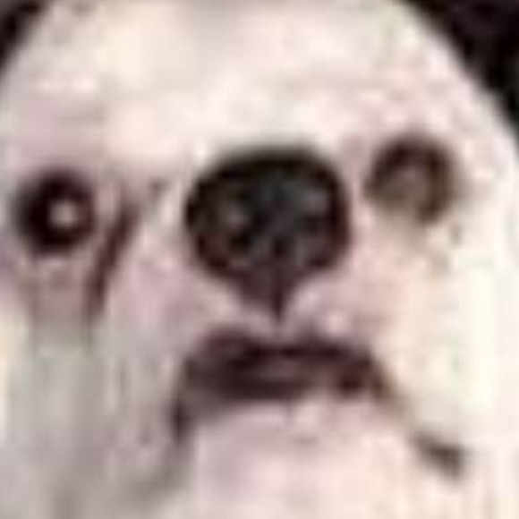 ryemorgan